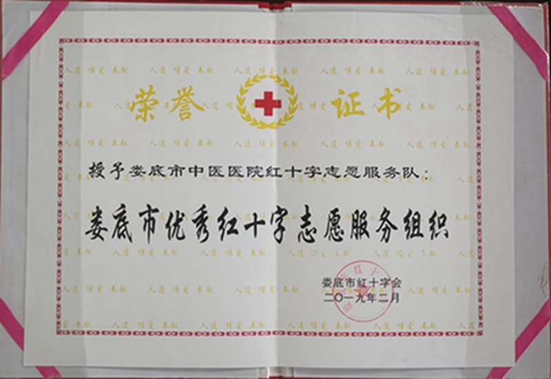 2019年度娄底市优秀红十字志愿服务组织