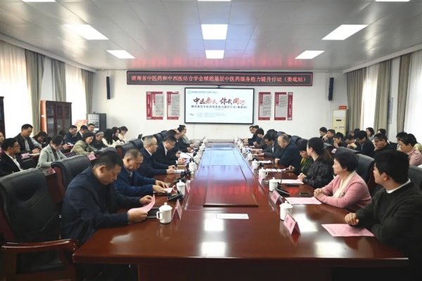 2025赋能基层中医药服务能力提升行动（娄底站）启动，娄底市中医医院扛起 “龙头” 担当